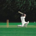 Cricket All Purpose...