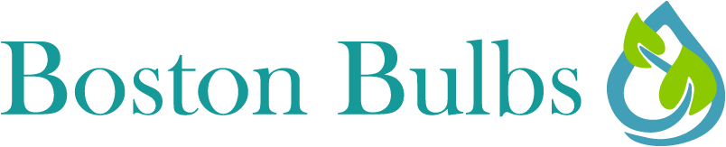 The Boston Bulb Company Ltd