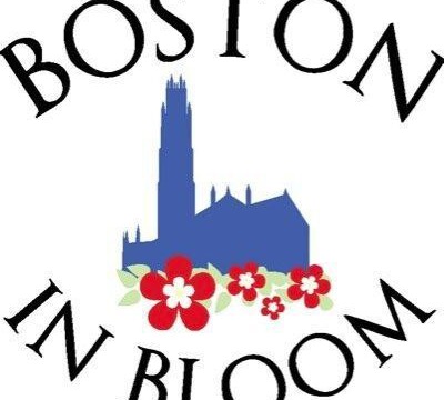 Boston Bulbs helping Boston to Bloom!
