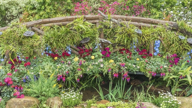 Top Trends from Chelsea Flower Show 2023 