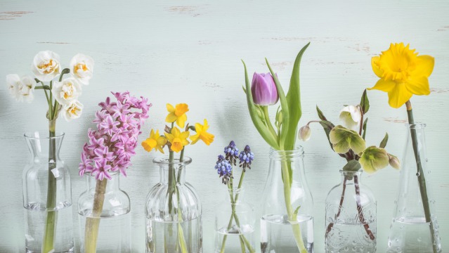 Which bulbs are best for producing cut flowers?