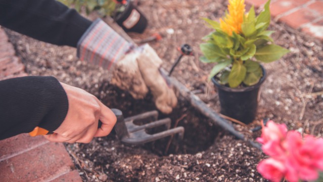 7 Benefits of Gardening