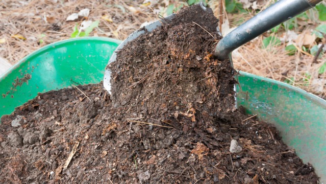 8 Benefits of Using Compost in your Garden