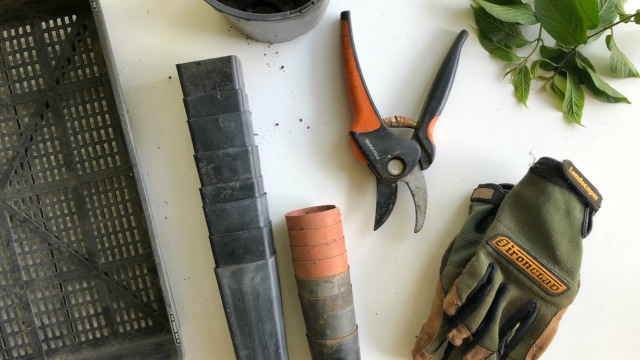 9 Essential Tools You Need For Gardening