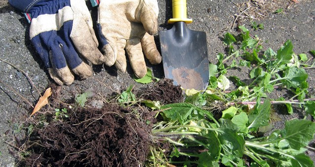 April Monthly Gardening Jobs